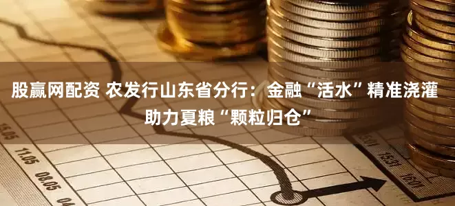 股赢网配资 农发行山东省分行:金融“活水”精准浇灌 助力夏粮“颗粒归仓”