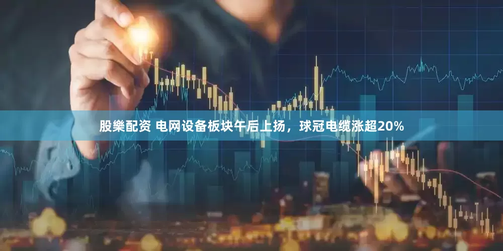 股樂配资 电网设备板块午后上扬，球冠电缆涨超20%
